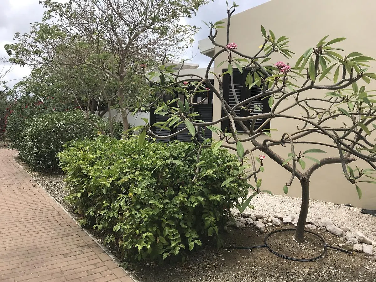 Blue Bay Resort Garden Dorp Dorp Sint Michiel Curaçao